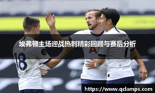 埃弗顿主场迎战热刺精彩回顾与赛后分析