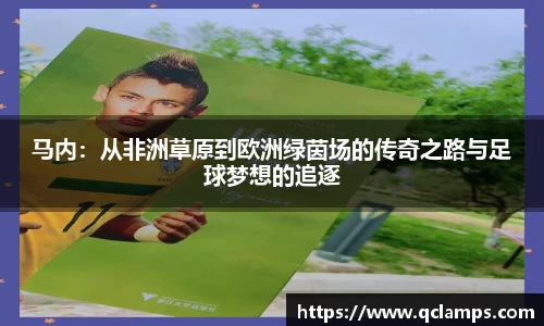 yy易游体育